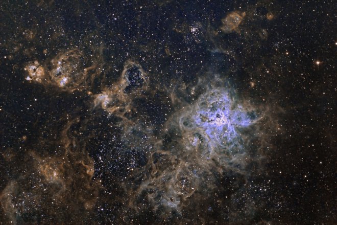  The Cosmic Web of the Tarantula Nebula Credit & Copyright: Marcelo Salemme Explanation: It is the largest and most complex star forming region in the entire galactic neighborhood. Located in the Large Magellanic Cloud, a small satellite galaxy orbiting our Milky Way galaxy, the region's spidery appearance is responsible for its popular name, the Tarantula nebula. This tarantula, however, is about 1,000 light-years across. Were it placed at the distance of Milky Way's Orion Nebula, only 1,500 light-years distant and the nearest stellar nursery to Earth, it would appear to cover about 30 degrees (60 full moons) on the sky. Intriguing details of the nebula are visible in the above image shown in scientific colors. The spindly arms of the Tarantula nebula surround NGC 2070, a star cluster that contains some of the brightest, most massive stars known, visible in blue on the right. Since massive stars live fast and die young, it is not so surprising that the cosmic Tarantula also lies near the site of the closest recent supernova. 