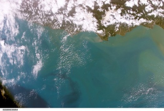 A plankton bloom off the coast of Washington state, US, June 2002, taken by astronauts from the International Space Station.