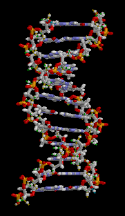 dna animation. the big 300