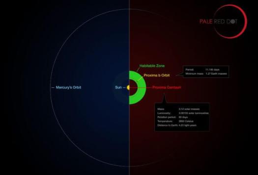 his infographic compares the orbit of the planet around P roxima Centauri (Proxima b) with the same region of the Solar System. Proxima Centauri is smaller and cooler than t he Sun and the planet orbits much closer to its star than Mercury. As a result it lies wel l within the habitable zone, where liquid water can exist on the planet ’ s surface. Credit: ESO/M. Kornmesser/G. Coleman 