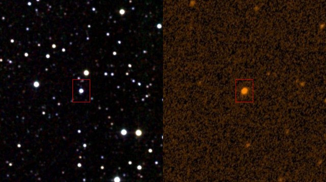 KIC 8462852, informally known as Tabby’s Star, is a magnitude +11.7 F-type main-sequence star located in the constellation Cygnus approximately 1,480 light-years from Earth. Data from NASA’s Kepler space telescope shows that the star displays aperiodic dimming of 20 percent and more. KIC 8462852 is shown here in infrared (2MASS survey, left) and ultraviolet (GALEX). Image credit: IPAC/NASA (infrared); STScI/NASA (ultraviolet).